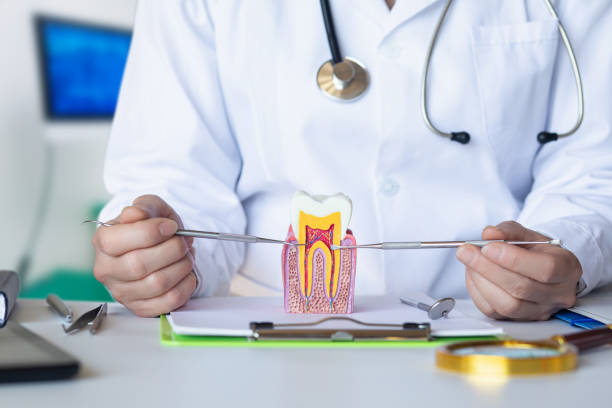 Best Urgent Tooth Repair  in Summit Hill, PA